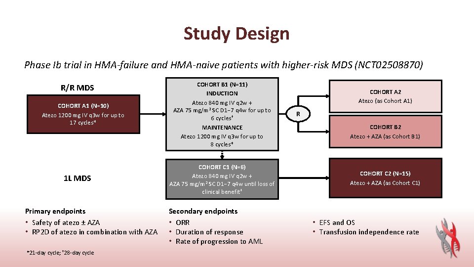 Study Design Phase Ib trial in HMA-failure and HMA-naive patients with higher-risk MDS (NCT