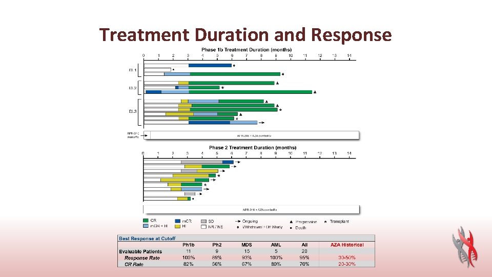 Treatment Duration and Response 