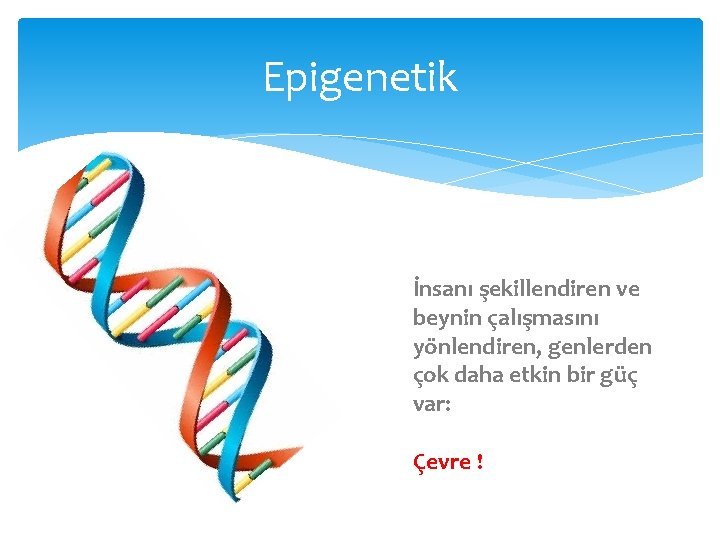 Epigenetik İnsanı şekillendiren ve beynin çalışmasını yönlendiren, genlerden çok daha etkin bir güç var: