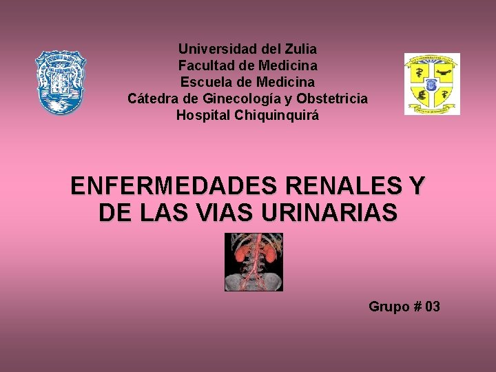 Universidad del Zulia Facultad de Medicina Escuela de Medicina Cátedra de Ginecología y Obstetricia
