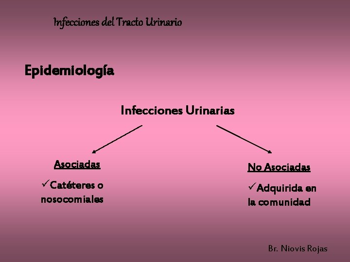 Infecciones del Tracto Urinario Epidemiología Infecciones Urinarias Asociadas üCatéteres o nosocomiales No Asociadas üAdquirida