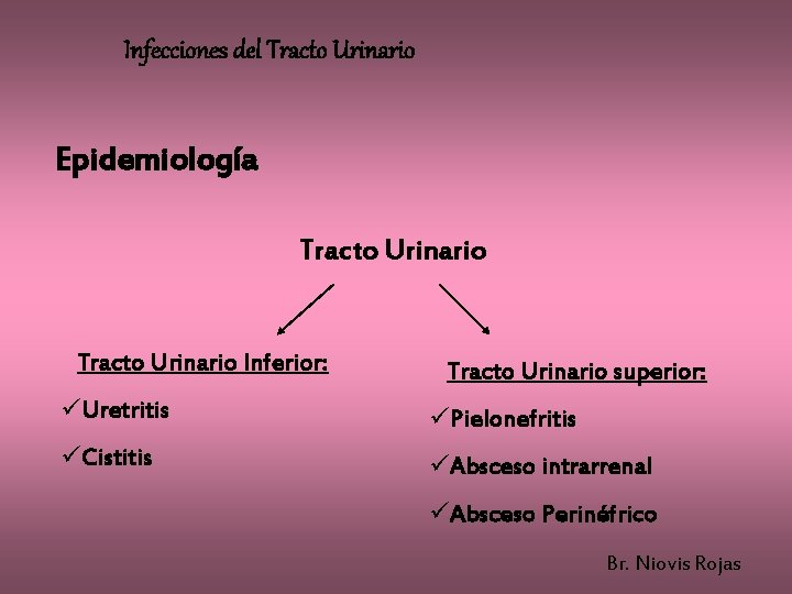 Infecciones del Tracto Urinario Epidemiología Tracto Urinario Inferior: Tracto Urinario superior: üUretritis üPielonefritis üCistitis