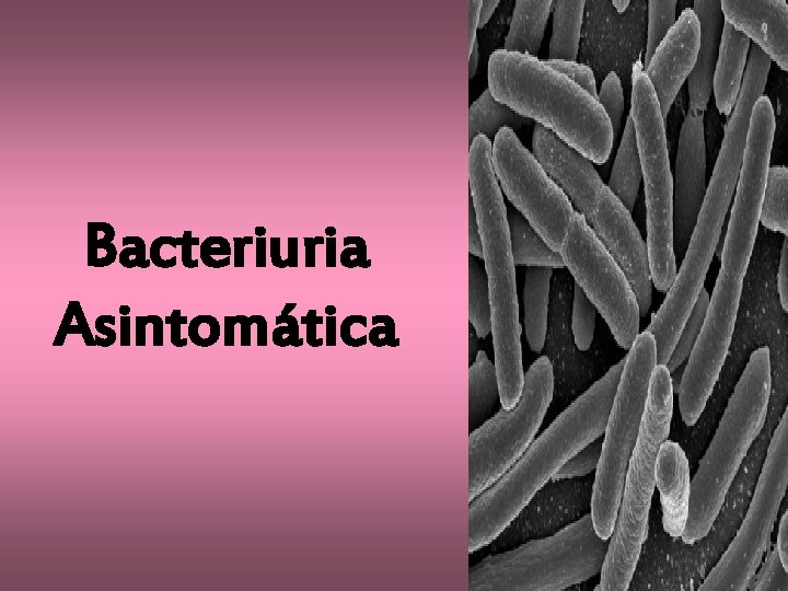 Bacteriuria Asintomática 