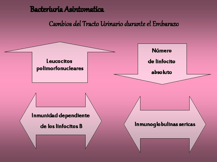 Bacteriuria Asintomatica Cambios del Tracto Urinario durante el Embarazo Número Leucocitos polimorfonucleares de linfocito