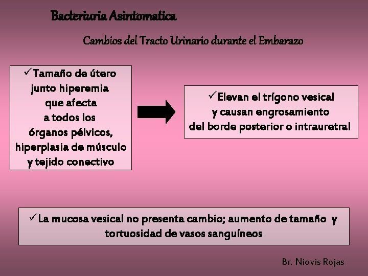 Bacteriuria Asintomatica Cambios del Tracto Urinario durante el Embarazo üTamaño de útero junto hiperemia