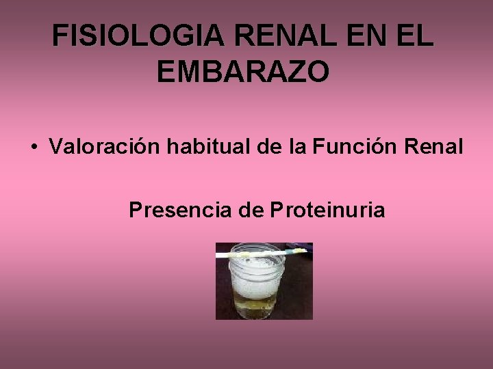 FISIOLOGIA RENAL EN EL EMBARAZO • Valoración habitual de la Función Renal Presencia de