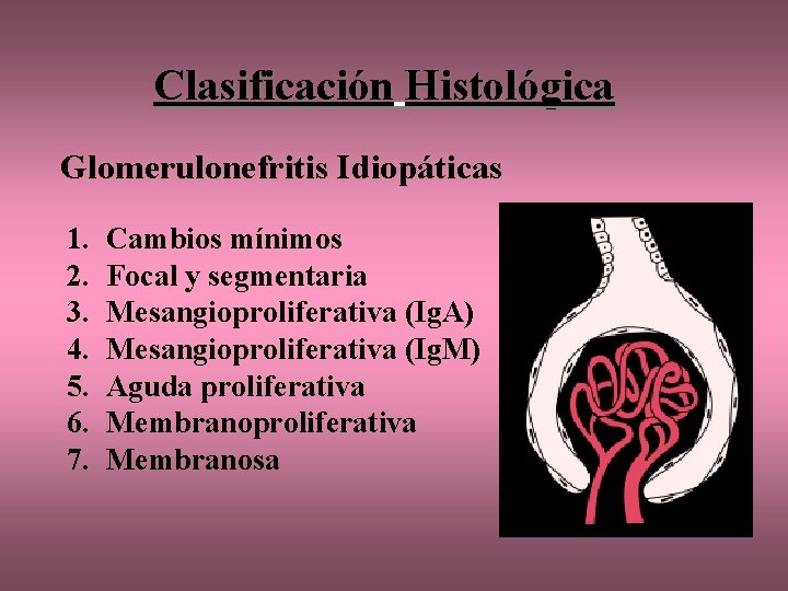 Clasificación Histológica Glomerulonefritis Idiopáticas 1. 2. 3. 4. 5. 6. 7. Cambios mínimos Focal