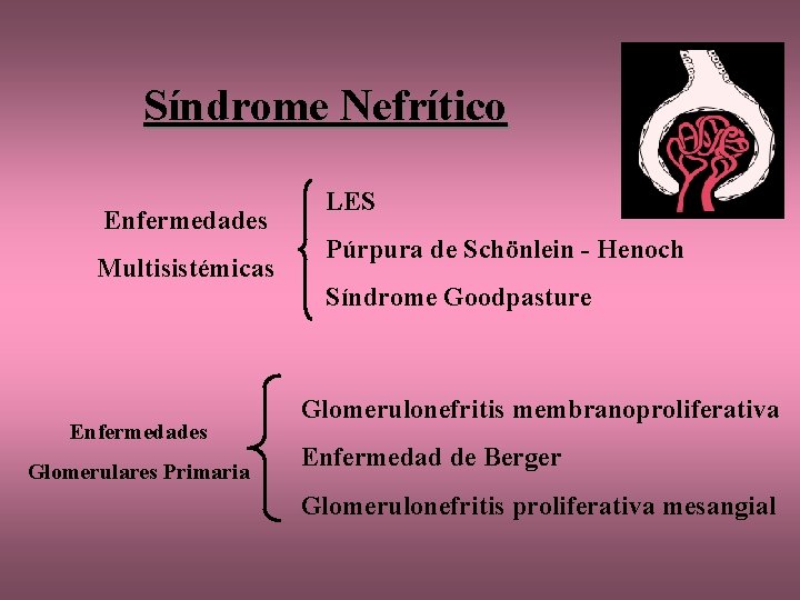 Síndrome Nefrítico Enfermedades Multisistémicas Enfermedades Glomerulares Primaria LES Púrpura de Schönlein - Henoch Síndrome