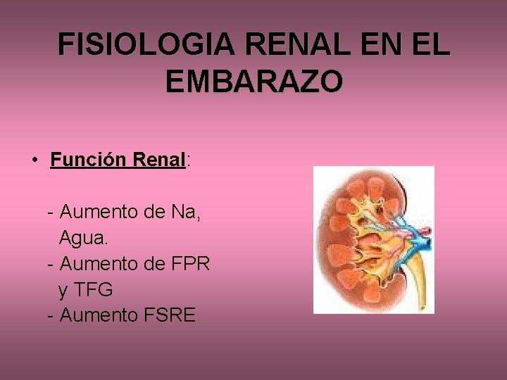 FISIOLOGIA RENAL EN EL EMBARAZO • Función Renal: - Aumento de Na, Agua. -