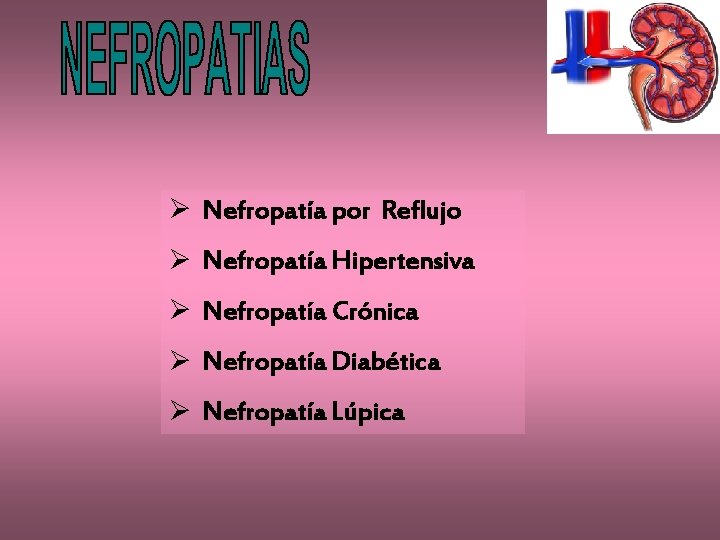 Ø Nefropatía por Reflujo Ø Nefropatía Hipertensiva Ø Nefropatía Crónica Ø Nefropatía Diabética Ø