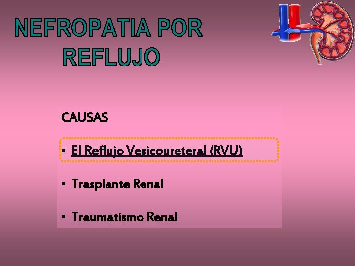 CAUSAS • El Reflujo Vesicoureteral (RVU) • Trasplante Renal • Traumatismo Renal 