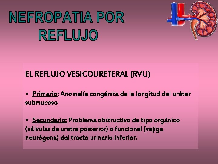 EL REFLUJO VESICOURETERAL (RVU) • Primario: Anomalía congénita de la longitud del uréter submucoso