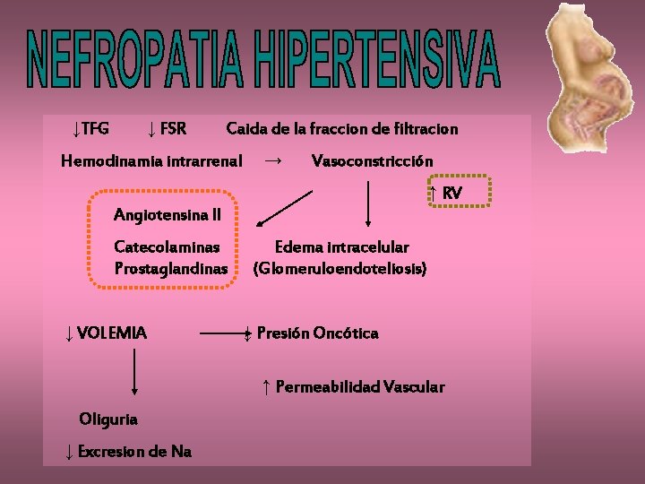  ↓TFG ↓ FSR Caida de la fraccion de filtracion Hemodinamia intrarrenal → Vasoconstricción