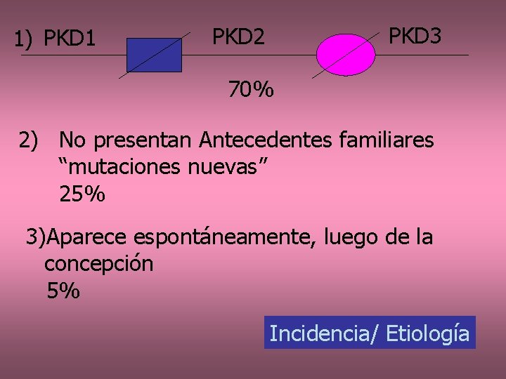 1) PKD 1 PKD 3 PKD 2 70% 2) No presentan Antecedentes familiares “mutaciones