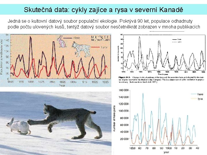 Skutečná data: cykly zajíce a rysa v severní Kanadě Jedná se o kultovní datový