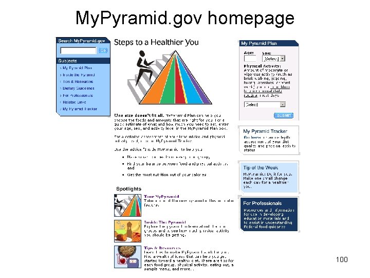 My. Pyramid. gov homepage 100 