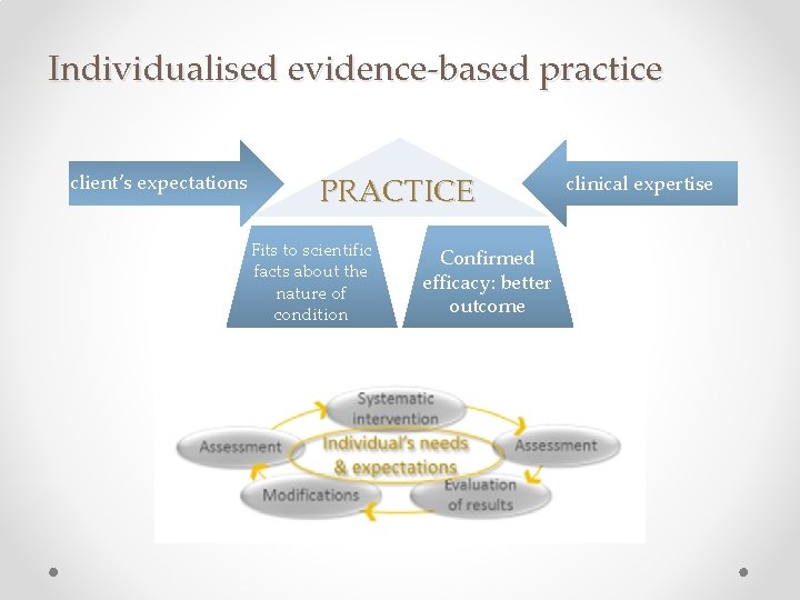 Individualised evidence-based practice client’s expectations PRACTICE Fits to scientific facts about the nature of