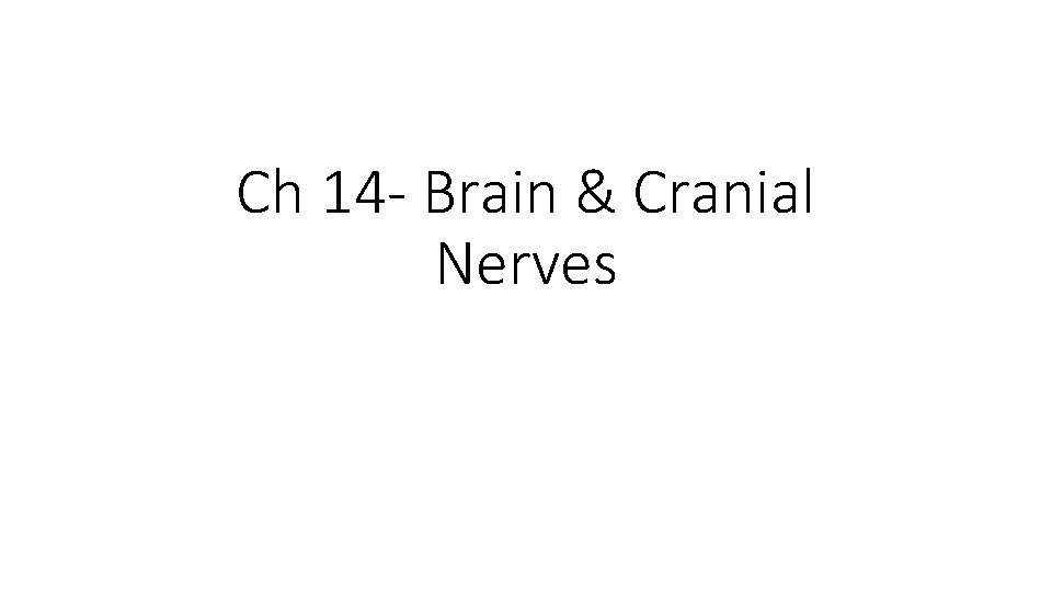 Ch 14 - Brain & Cranial Nerves 