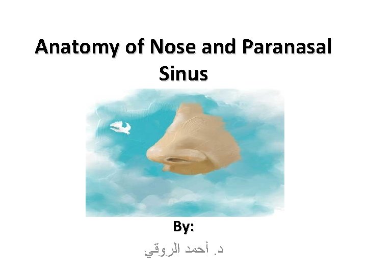 Anatomy of Nose and Paranasal Sinus By: ﺃﺤﻤﺪ ﺍﻟﺮﻭﻗﻲ. ﺩ 