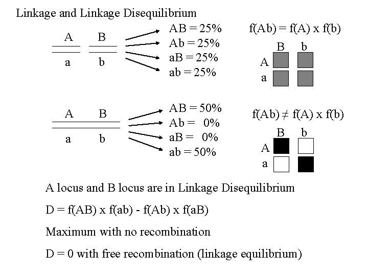 Linkage and Linkage Disequilibrium AB = 25% A B Ab = 25% a. B