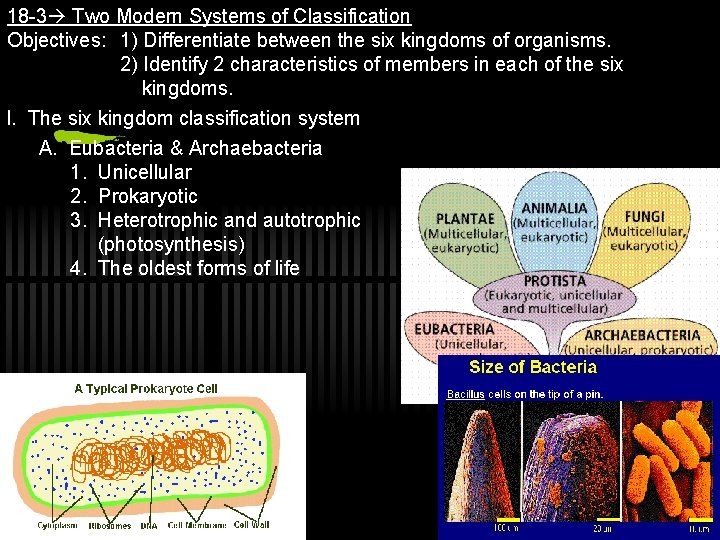 18 -3 Two Modern Systems of Classification Objectives: 1) Differentiate between the six kingdoms