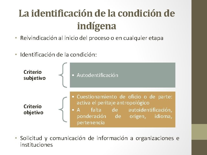 La identificación de la condición de indígena • Reivindicación al inicio del proceso o