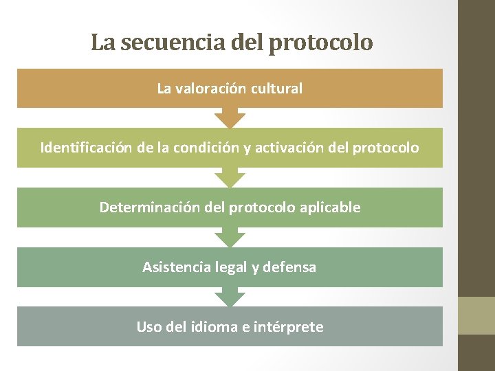 La secuencia del protocolo La valoración cultural Identificación de la condición y activación del