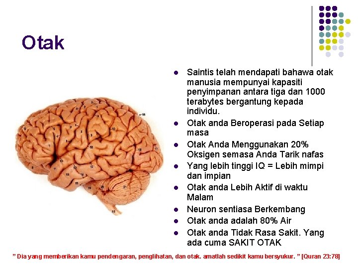Otak l l l l Saintis telah mendapati bahawa otak manusia mempunyai kapasiti penyimpanan Otak l l l l Saintis telah mendapati bahawa otak manusia mempunyai kapasiti penyimpanan