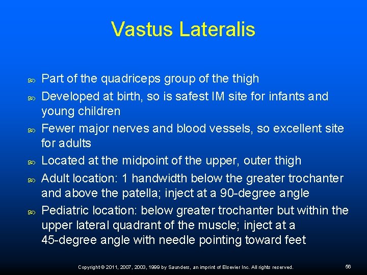 Vastus Lateralis Part of the quadriceps group of the thigh Developed at birth, so