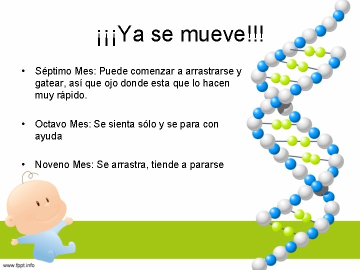 ¡¡¡Ya se mueve!!! • Séptimo Mes: Puede comenzar a arrastrarse y gatear, así que