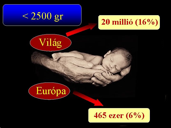 < 2500 gr 20 millió (16%) Világ Európa 465 ezer (6%) 