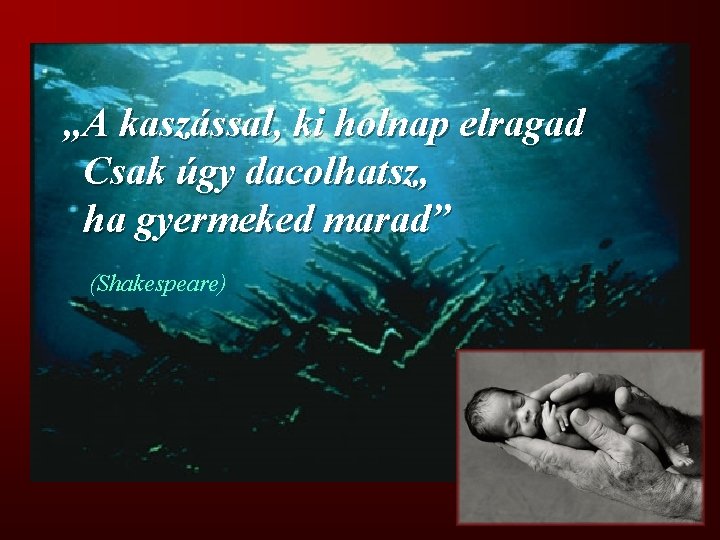 „A kaszással, ki holnap elragad Csak úgy dacolhatsz, ha gyermeked marad” (Shakespeare) 