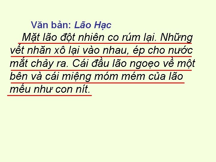 Văn bản: Lão Hạc Mặt lão đột nhiên co rúm lại. Những vết nhăn