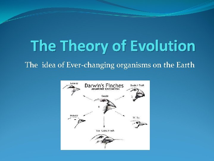 The Theory of Evolution The idea of Ever-changing organisms on the Earth 