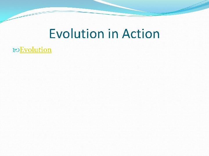 Evolution in Action Evolution 
