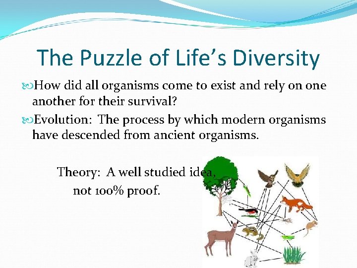 The Puzzle of Life’s Diversity How did all organisms come to exist and rely