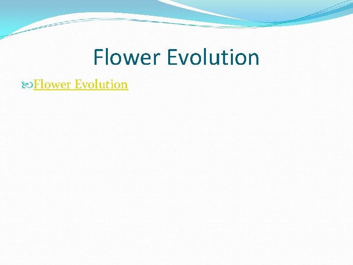 Flower Evolution 