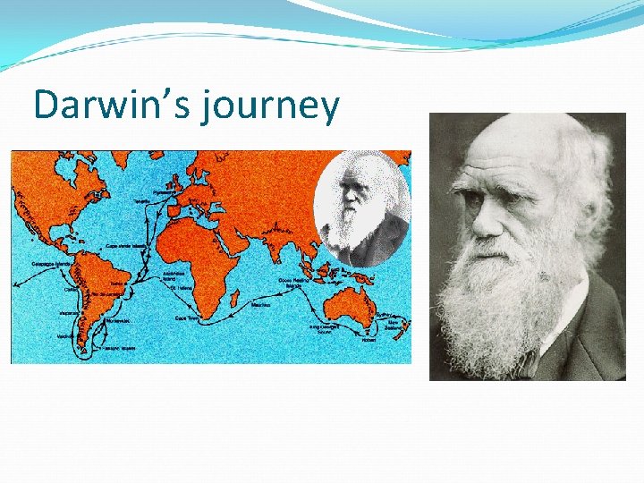 Darwin’s journey 