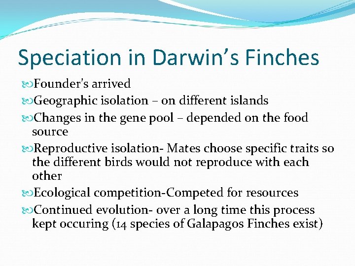 Speciation in Darwin’s Finches Founder’s arrived Geographic isolation – on different islands Changes in