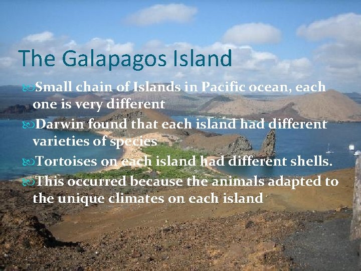 The Galapagos Island Small chain of Islands in Pacific ocean, each one is very