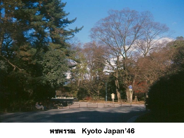พชพรรณ Kyoto Japan’ 46 