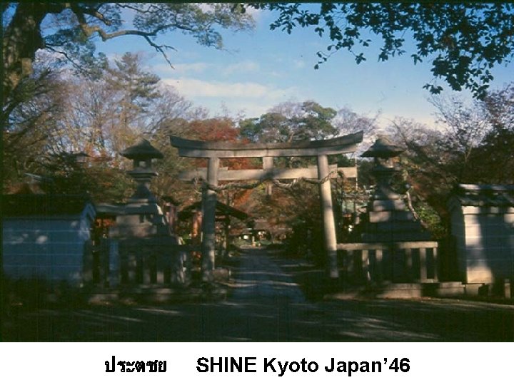 ประตชย SHINE Kyoto Japan’ 46 