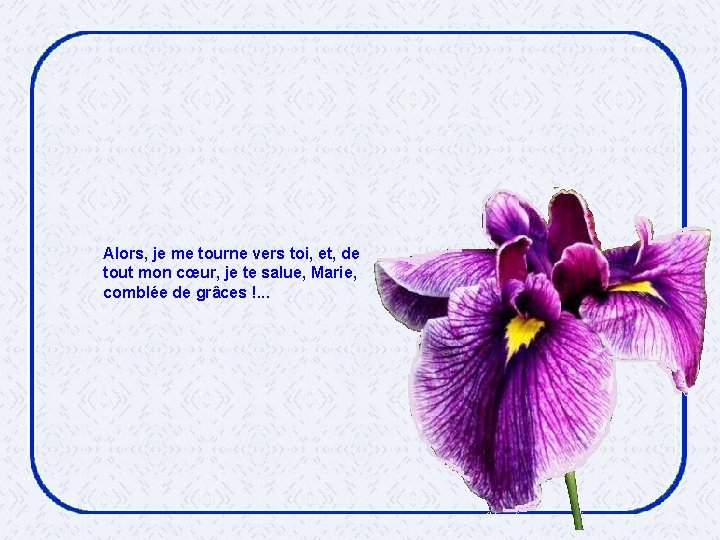 Alors, je me tourne vers toi, et, de tout mon cœur, je te salue,