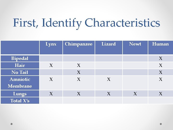 First, Identify Characteristics Lynx Chimpanzee Lizard Newt Human Bipedal Hair No Tail Amniotic Membrane