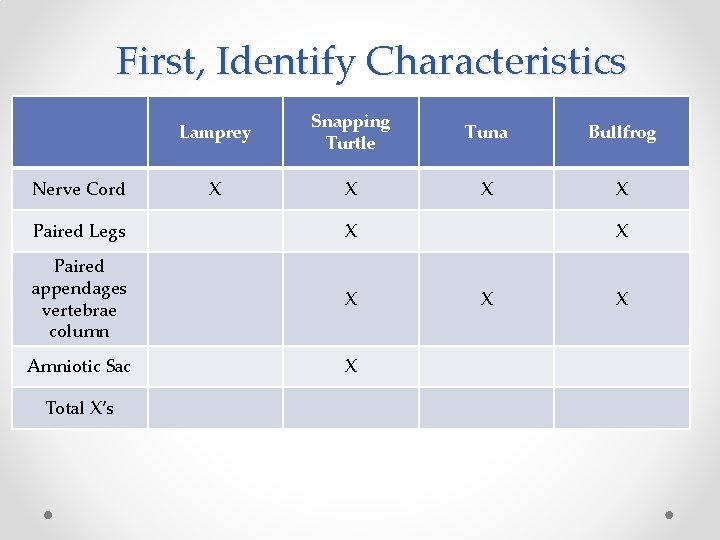 First, Identify Characteristics Nerve Cord Lamprey Snapping Turtle Tuna Bullfrog X X Paired Legs