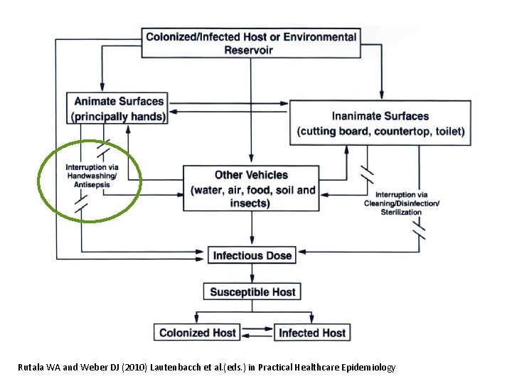 Rutala WA and Weber DJ (2010) Lautenbacch et al. (eds. ) in Practical Healthcare