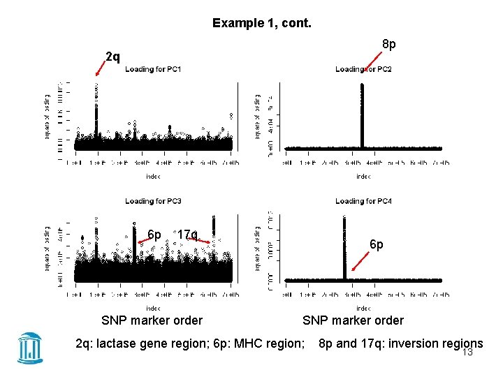 Example 1, cont. 8 p 2 q 6 p 17 q SNP marker order