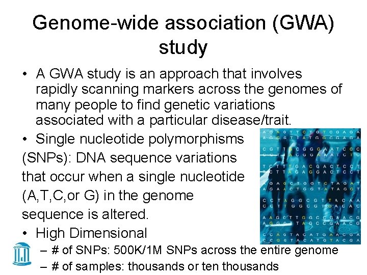 Genome-wide association (GWA) study • A GWA study is an approach that involves rapidly