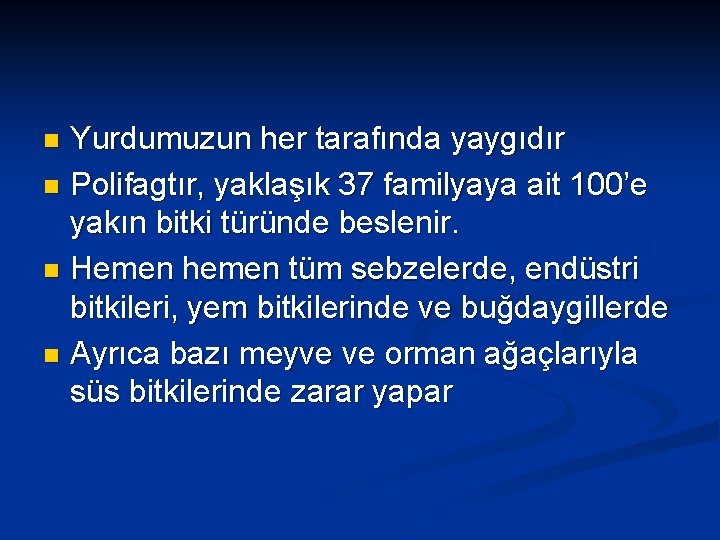 Yurdumuzun her tarafında yaygıdır n Polifagtır, yaklaşık 37 familyaya ait 100’e yakın bitki türünde