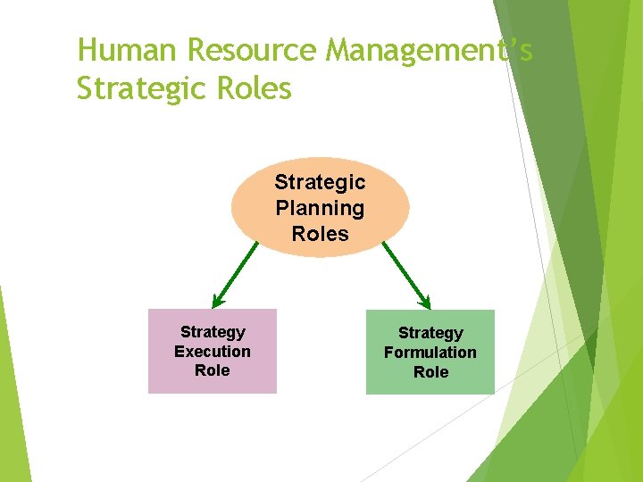 Human Resource Management’s Strategic Roles Strategic Planning Roles Strategy Execution Role Strategy Formulation Role